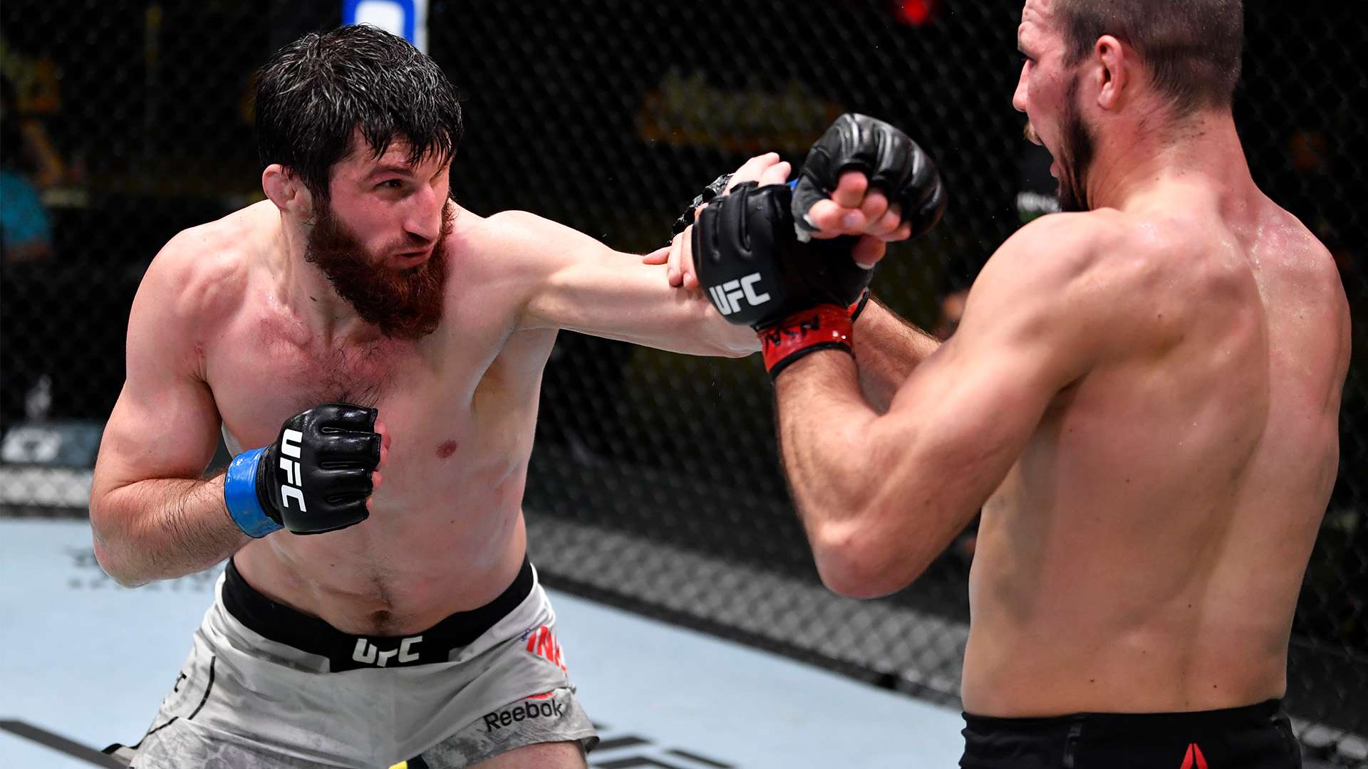 现了体育机 现了体育机