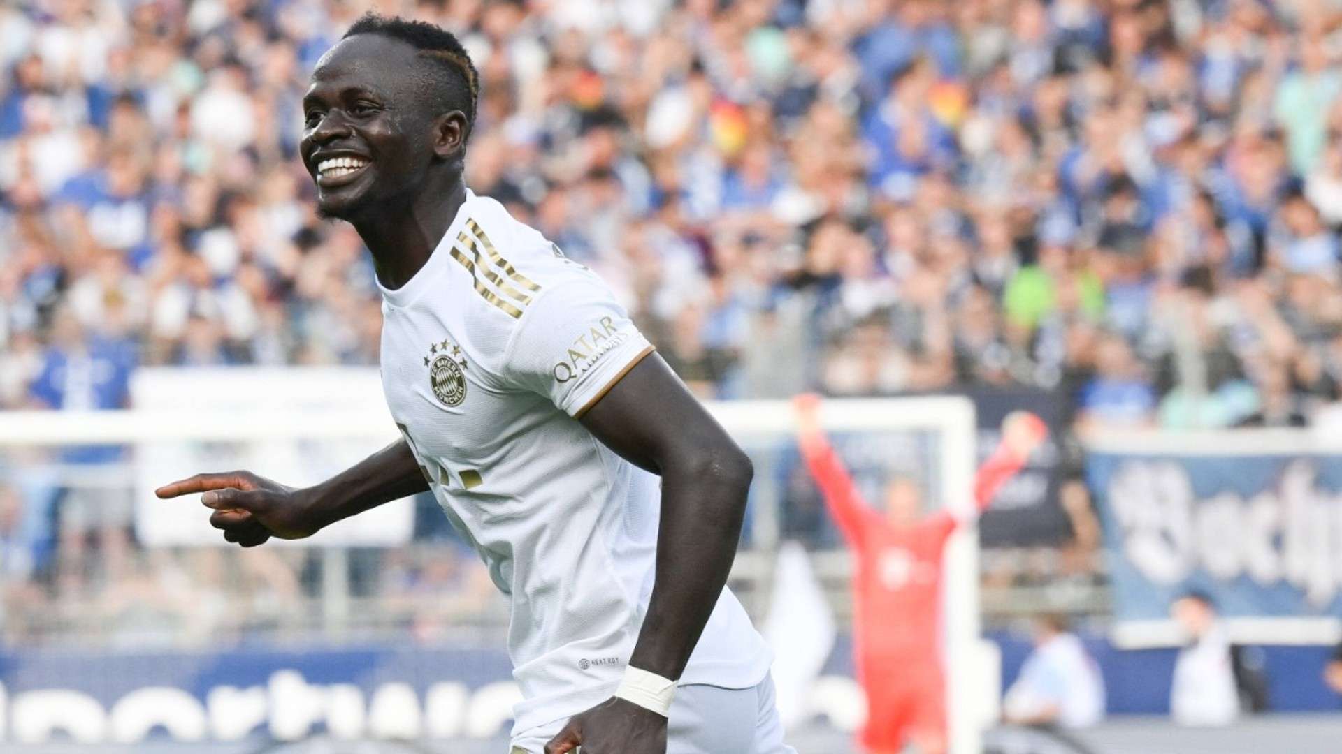 岁的年轻球 岁的年轻球